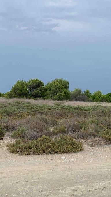 Appartement Vue Lac Marin Et Canigou Le Barcarès المظهر الخارجي الصورة